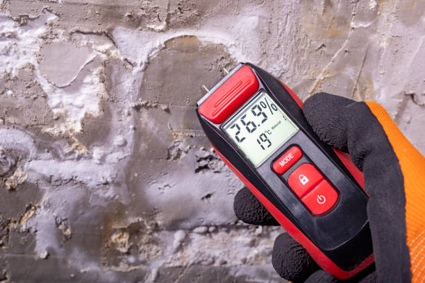 Best Mold Removal Process  in Picture Rocks, AZ
